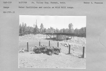 Water facillities and cattle on Wild Bill range. RM-1705.15