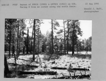  Facing E from NW corner along the north fence.