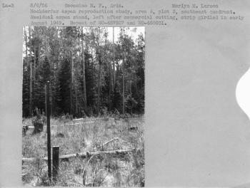 aspen reproduction study
