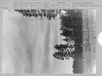 MRS plot 5B. Repeat of H-112 (468079). P.P. 10A, 35.5' S37 degrees E of center of line acre no. 45 looking S48 degrees W. MRS plot 5B. Repeat of H-112 (468079). P.P. 10A, 35.5' S37 degrees E of center of line acre no. 45 looking S48 degrees W.