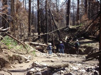 Erosion on  Waterline Road