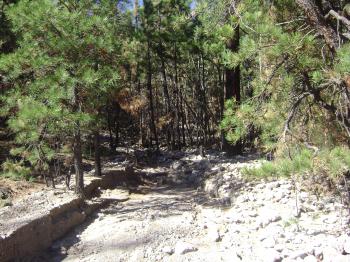 Erosion from Schultz Fire