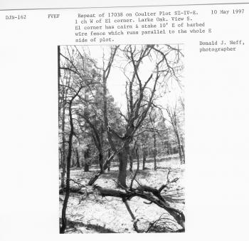 Repeat 17038 on Coulter plot S5-IV-E. 1 ch W of E1 corner. Large oak. View S. E1 corner has cairn and stake 10' E of barbed wire fence which runs parallel to the whole E side of the plot.