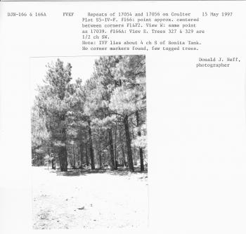 Repeats of 17054 and 17056 on Coulter plot S5-IV-F. #166: point  aprox centered between corners F1& F2. View W: same point as 17039. #166a: View E. Trees 327 and 329 are 1/2 ch SW. 