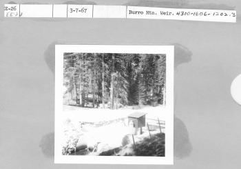 Burro Mtn. Weir