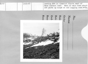 Looking SSW in clearcut blocks east of Reno lookout road. East of main draw about 100 yrds up slope on old logging road. 