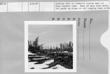 Looking west in clearcut blocks east of Reno lookout road. East of main draw about 100 yards up slope on old logging road.