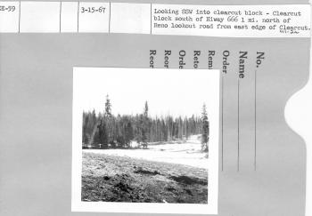 Looking SSW into clearcut block south  of highway 666 1 mi. north of Reno lookout road from east edge of clearcut.
