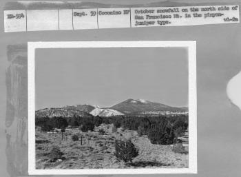 October snowfall on the north side of San Francisco Mt. in the pinyon-juniper type. 