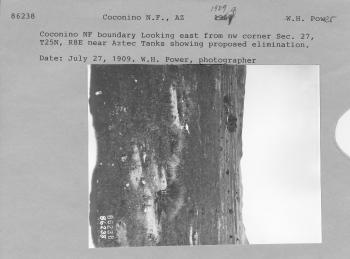 Coconino NF boundary looking east.