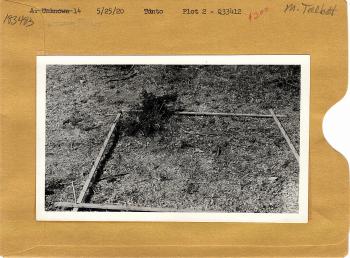 range study plot