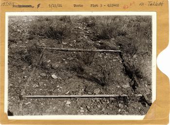 range study plot