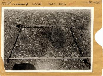range study plot