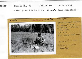 reading soil moisture