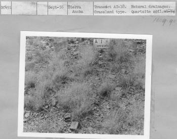 Sierra Ancha Transect AI-18