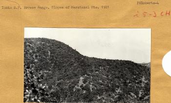 Slopes of Mazatzal Mts.