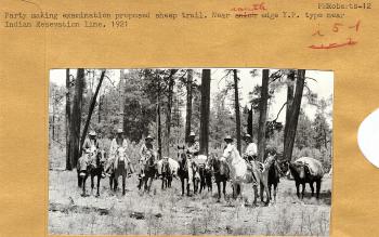 Party making examination proposed sheep trail