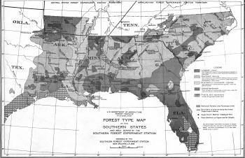 1936 gray-scale map of the southern United States showing different Forest Service experiment stations and forest types, as well as names of national forests