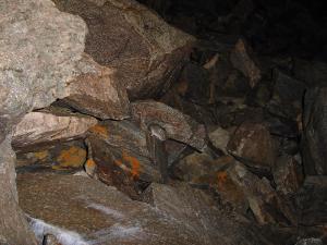 Great Basin pocketmouse