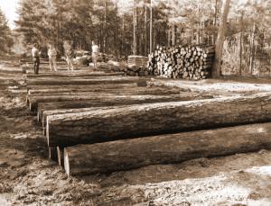 Russ Reynolds instructing landowners about the benefits of good forestry.  Annual harvest on Poor Farm Forty, Crossett Experimental Forest.