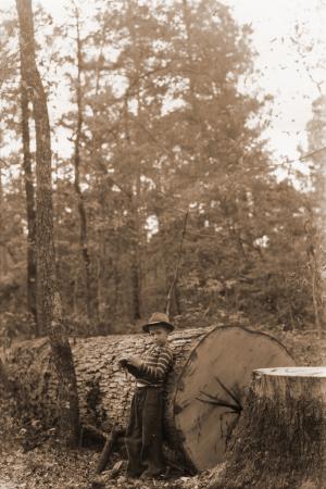 Caption reads:  "Fine example of high grade forked leaf white oak (Quercus alba) cut for sawlogs.  First log scaled 817 feet (12 ft.) Doyle Scale and entire tree contained 2750 feet."  Boy is one of Russ Reynolds' sons.