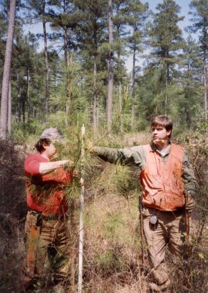 Forestry Technician Bruce Walsh (right) and unknown helper measuring trees on the Crossett Experimental Forest.