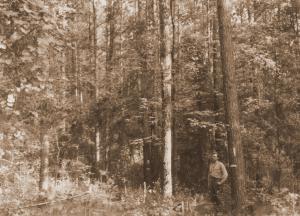 Caption reads: "Plot U-54 (Maxwell). Urania, La." Man in photo is identified as Hamlin Williston.