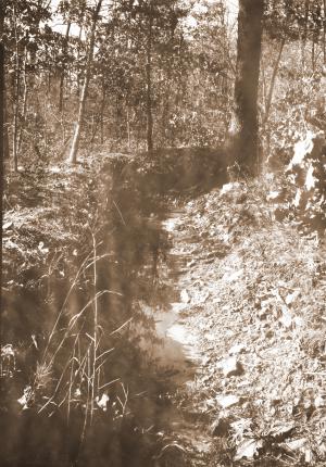 A water diversion structure, constructed in 1939 in the Rock Creek drainage of Irons Fork, were designed to help capture/slow stormflow along the ridges to help reduce peak flow in stream channels in the valleys.  Photographs were taken before 1943 by an unknown USFS photographer and used in an unpublished report by Assistant Forester John L. Arend.