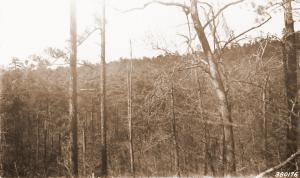 Caption reads:  "#6 Watershed, Jones Creek.  General view north into #6 watershed before clear-cutting.  Camera on ridge between #6 and #7, facing north."