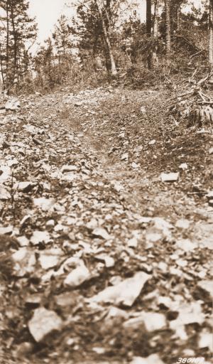 Caption reads:  "#2 Watershed, Jones Creek.  Logging road.  Logging road in the process of construction.  No erosion of washes here as yet.  Camera Sta. #15."