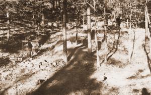 Caption reads:  "Impounding dams.  No. 3 East Lateral, Rock Creek."