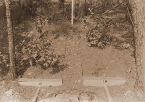 Caption reads:  "View of surface runoff plots 15&16 taken from ladder tripod below plots.  Plots are located on upper contour trail in East Nesbitt Creek.  Covertype--trees."