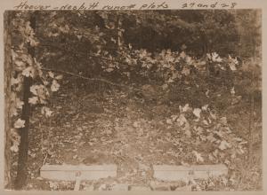 Caption reads:  "Hoover-Nesbitt runoff plots 27&28.  View of surface runoff plots 27&28 taken from ladder tripod below plots.  Plots are located on upper contour trail in East Hoover Creek.  Covertype--trees&reproduction."