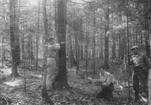 Pre cut, inventory crew measuring trees on permanent sample plot 2/1, Walter Kaulfuss measuring dbh, Ted Grisez tallying, Stanley Melching measuring sapling with tree fork, in MU21 on July 28 1954
