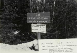 Management unit sign and stand data - unthinned uniform shelterwood stand in MU23 on March 29 1982