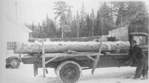 Logging truck in 1950s