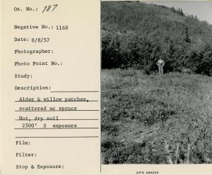 Alder & willow patches, scattered nc spruce. Hot, dry soil, 2500' S exposure.