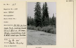 FS [Forest Survey?] Plot 73, from road to E looking towards SP 6-7 Ⓢ 3 - d 70". Max 75 years. Lowerstory 4-25' B & Ⓢ saplings & alder. Photos 1R 5, P-5.