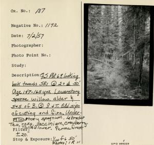 FS [Forest Survey?] Plot 69, looking back towards SP-1 Ⓢ 2 = d 50'. Age 147-165 years. Lowerstory sparse willow, alder and s & s of B, Ⓢ, ŝ & T. Old sign of cutting and fire. Understory sphagnum, Labrador Teas, rosa, vaccinium, crowberry, twinflower. Permafrost +/- 20". Photos: 1R 11.