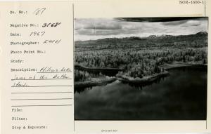 Hiline Lake. Some of the better stands.