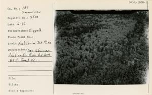 View taken over Point on Air Photo A-K-BLM 6-6-11. Toward NE.