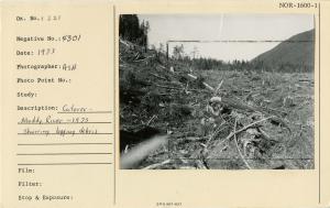 Cutover, Muddy River - 1973. Showing logging debris.