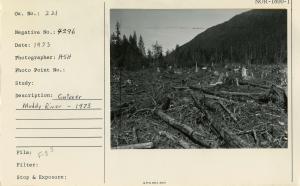 Cutover, Muddy River - 1973.