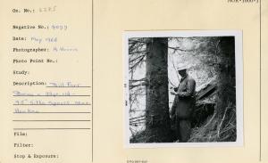 Bill Farr boring a 33 yr. old, 19.5" Sitka spruce near Howkan.