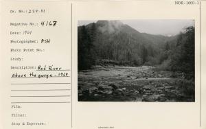 Red River above the gorge - 1969.