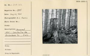 Permanent Plot, Hinchenbrook Is. Constantine Hbr. P.W.S.
