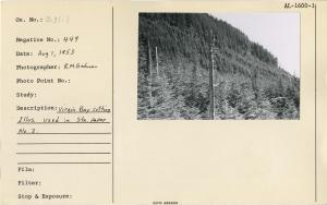 Virgin Bay cutting illus. used in Station paper No. 2.
