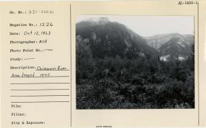 Chickamin River. Area logged 1945.