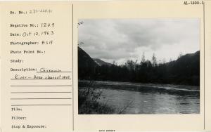 Chickamin River. Area clearcut 1945.