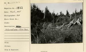 Unburned area, Kina Cove.